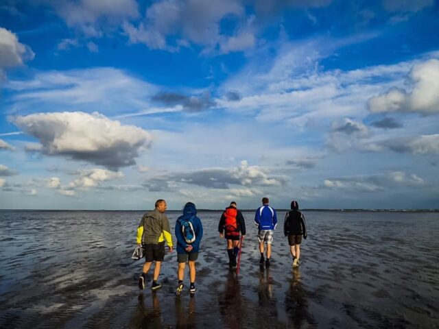 Wadlopen in Lauwersoog Waddengenot aan Zee
