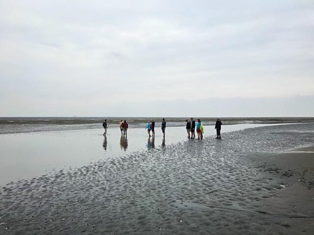 41185643_1748528015259907_2534472575170379776_n