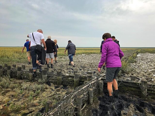 41328265_1748528265259882_5177642706653937664_n