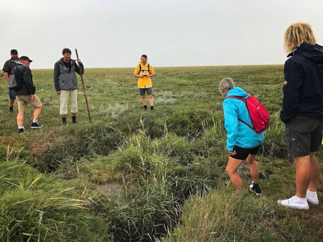Wadlopen kwelder pieterburen Waddengenot