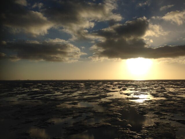 Laag water op het wad waddenzee werelderfgoed Waddengenot